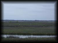 p3157451.jpg 4.2K