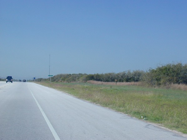 p3167688.jpg 39.8K