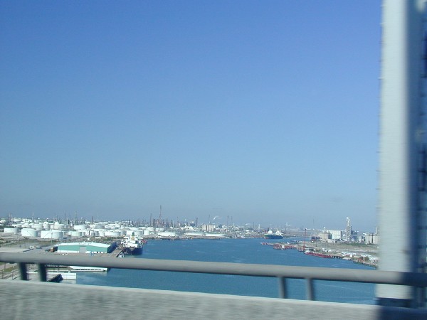 p3167704.jpg 39.2K