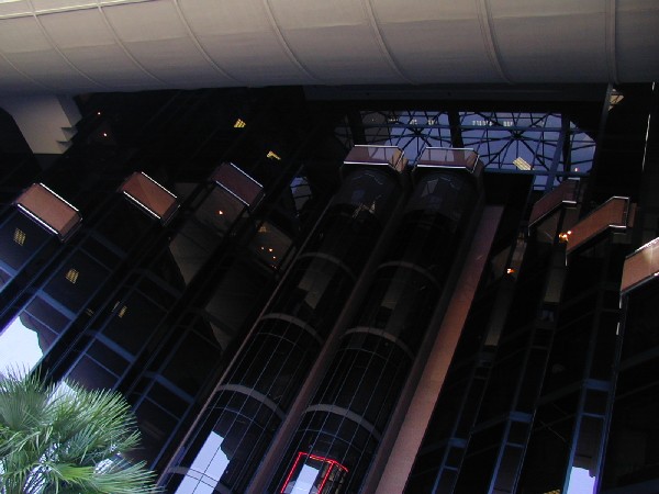 p3167741.jpg 58.1K