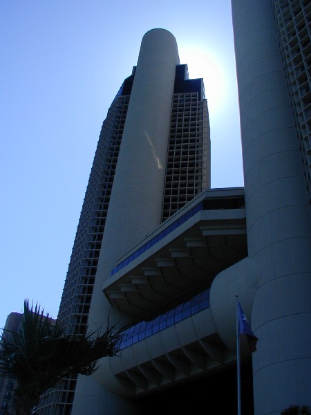 p3167742.jpg 44.8K