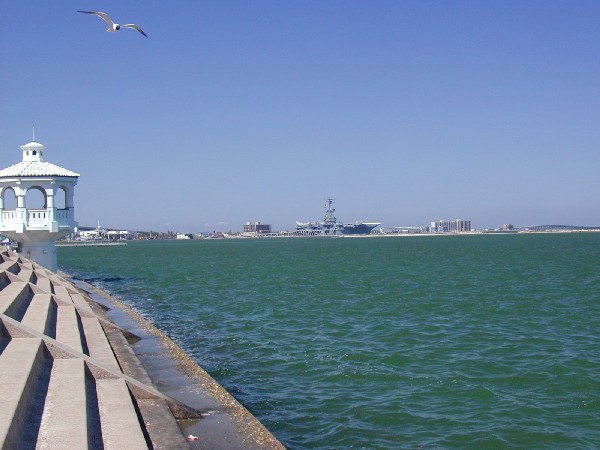p3167754.jpg 54.1K