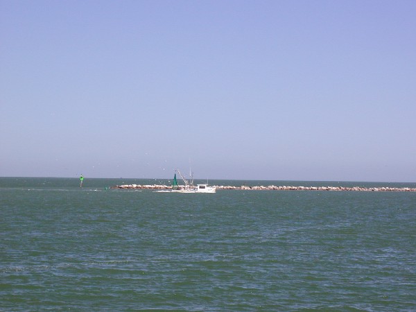 p3167764.jpg 41.3K