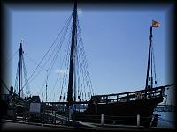 p3167729.jpg 6.2K