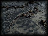 pc104067.jpg 5.2K