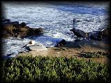 pc114161.jpg 7.4K