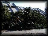 pc104061.jpg 5.9K