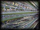 pc174846.jpg 7.3K