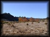 pc124173.jpg 4.6K