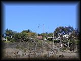 pc124177.jpg 4.8K