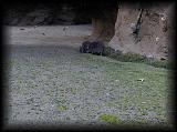 pc144546.jpg 4.7K
