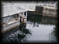 p2216871.jpg 8.9K