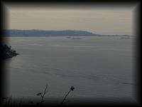 p2216918.jpg 3.2K