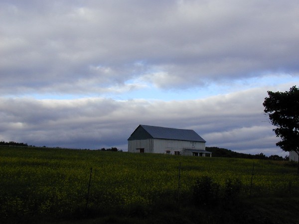 p7196272.jpg 42.3K
