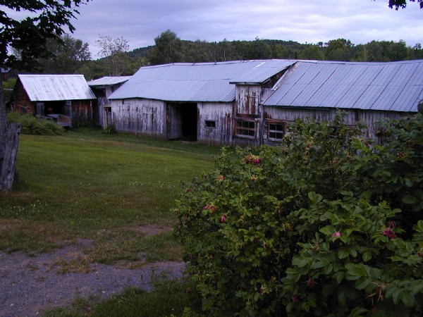 p7196276.jpg 84.2K