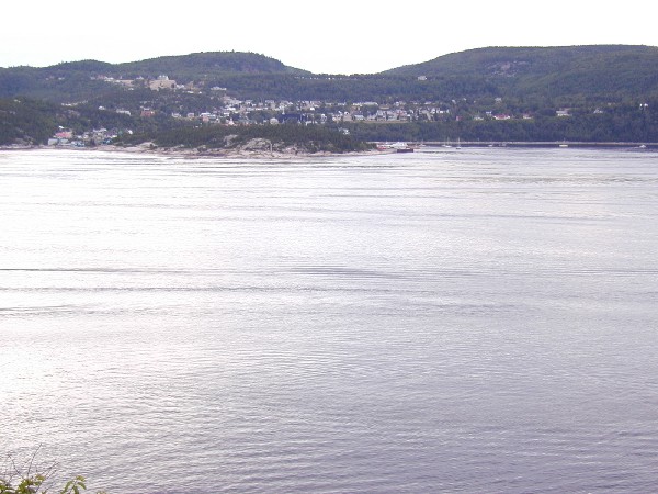 p7216670.jpg 72.2K