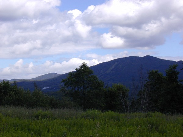 p7236899.jpg 52.3K