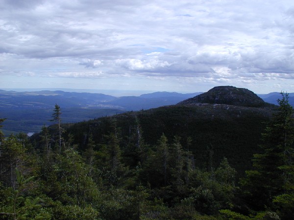 p7206444.jpg 63.7K