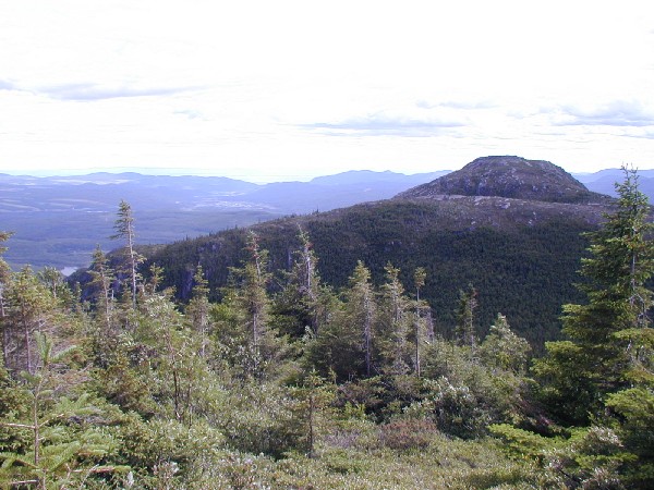p7206445.jpg 87.3K