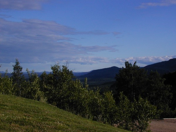 p7206498.jpg 64.3K