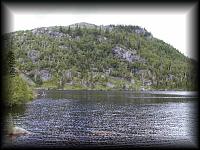 p7206398.jpg 8.6K