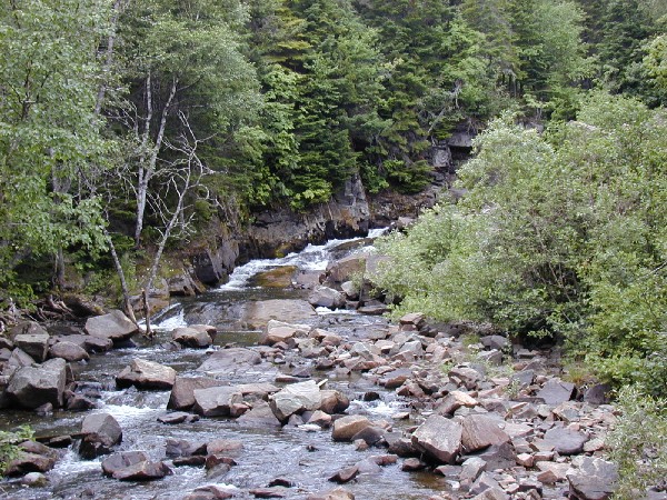 p7216575.jpg 138.1K