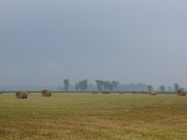 p7277398.jpg 43.6K