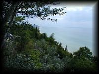 p7319370.jpg 7.6K