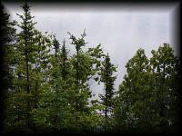 p7226735.jpg 8.3K