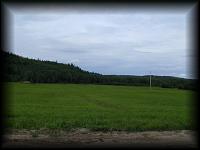 p7226750.jpg 4.4K
