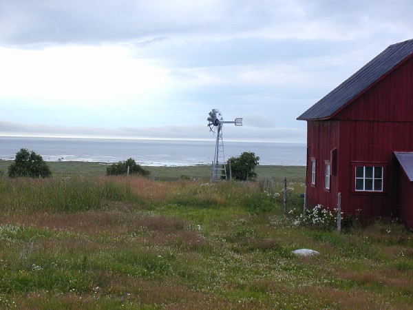 p7226848.jpg 63.2K
