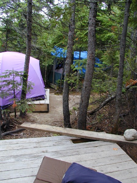 p7226770.jpg 115.9K