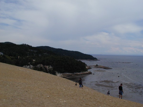 p7226793.jpg 46.6K