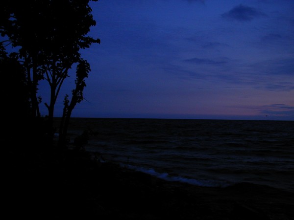 p7267353.jpg 28.1K
