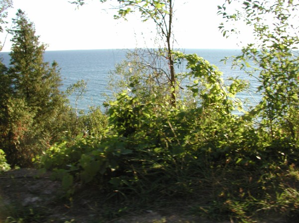 p7109932.jpg 92.1K