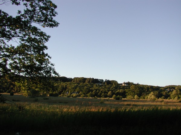 p7109974.jpg 62.1K