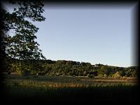 p7109974.jpg 6.1K