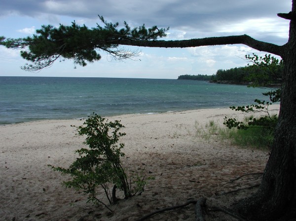 p7109674.jpg 80.2K