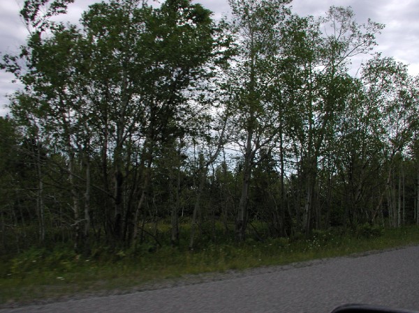 p7099417.jpg 101.7K