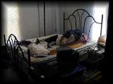 p6140445.jpg 4.3K